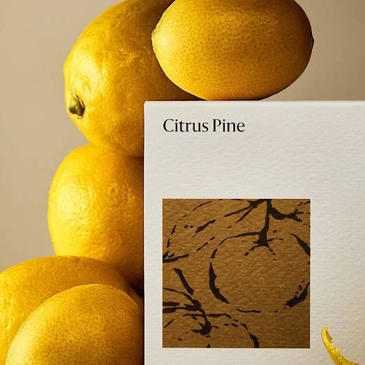 west-elm-homescent-collection-citrus-pine-c.jpg