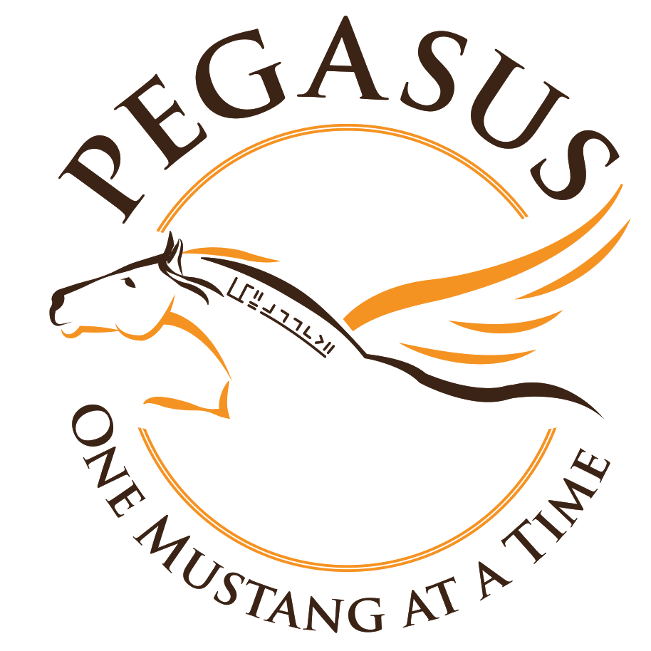 Pegasus