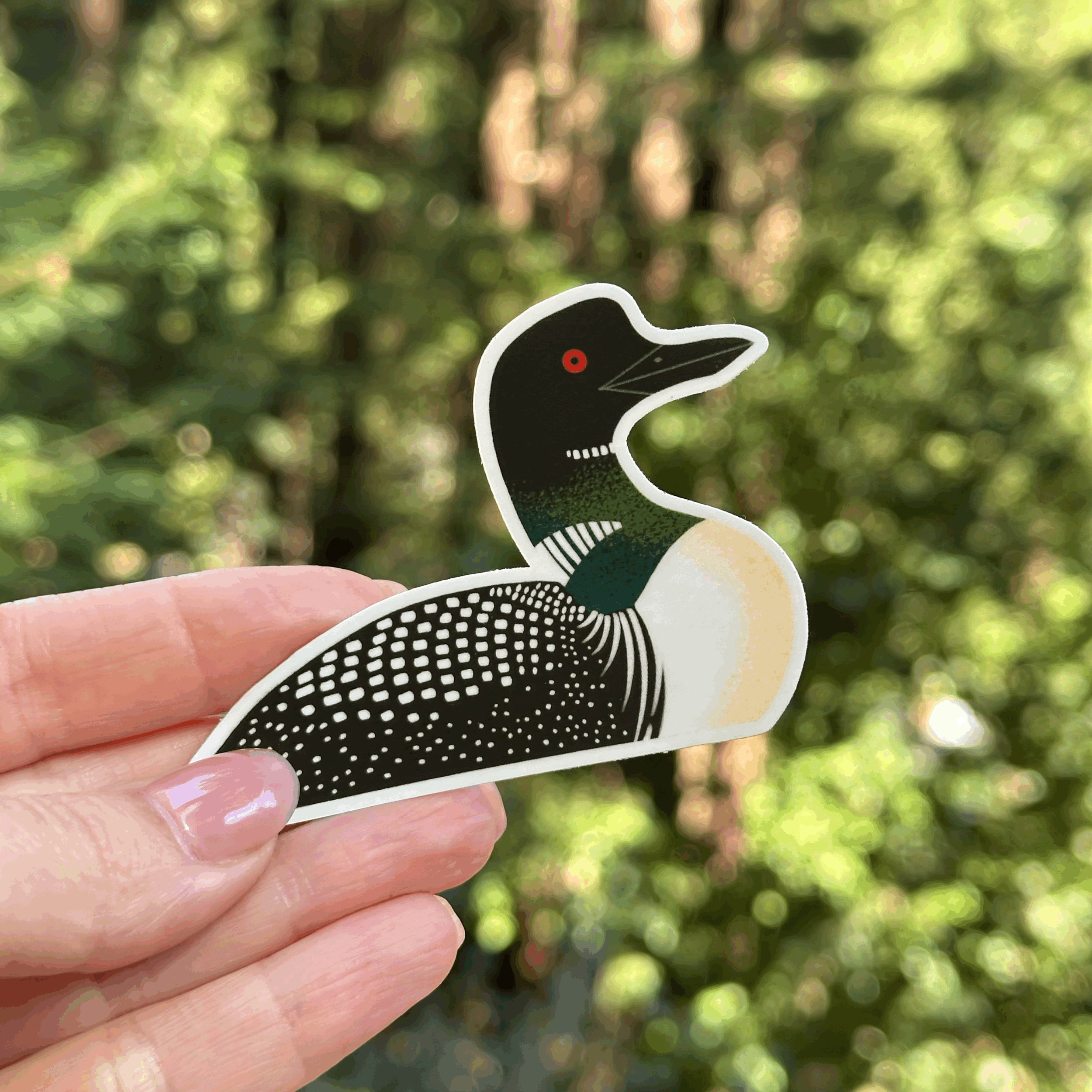 Common Loon Vinyl Sticker