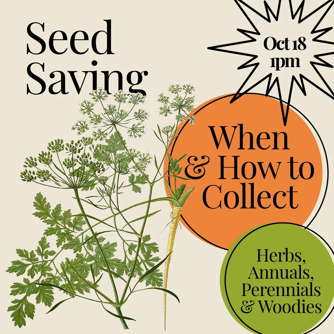 Seed Saving