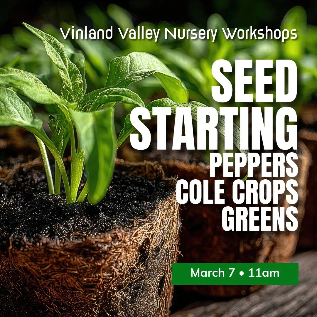 Seed Starting Workshop