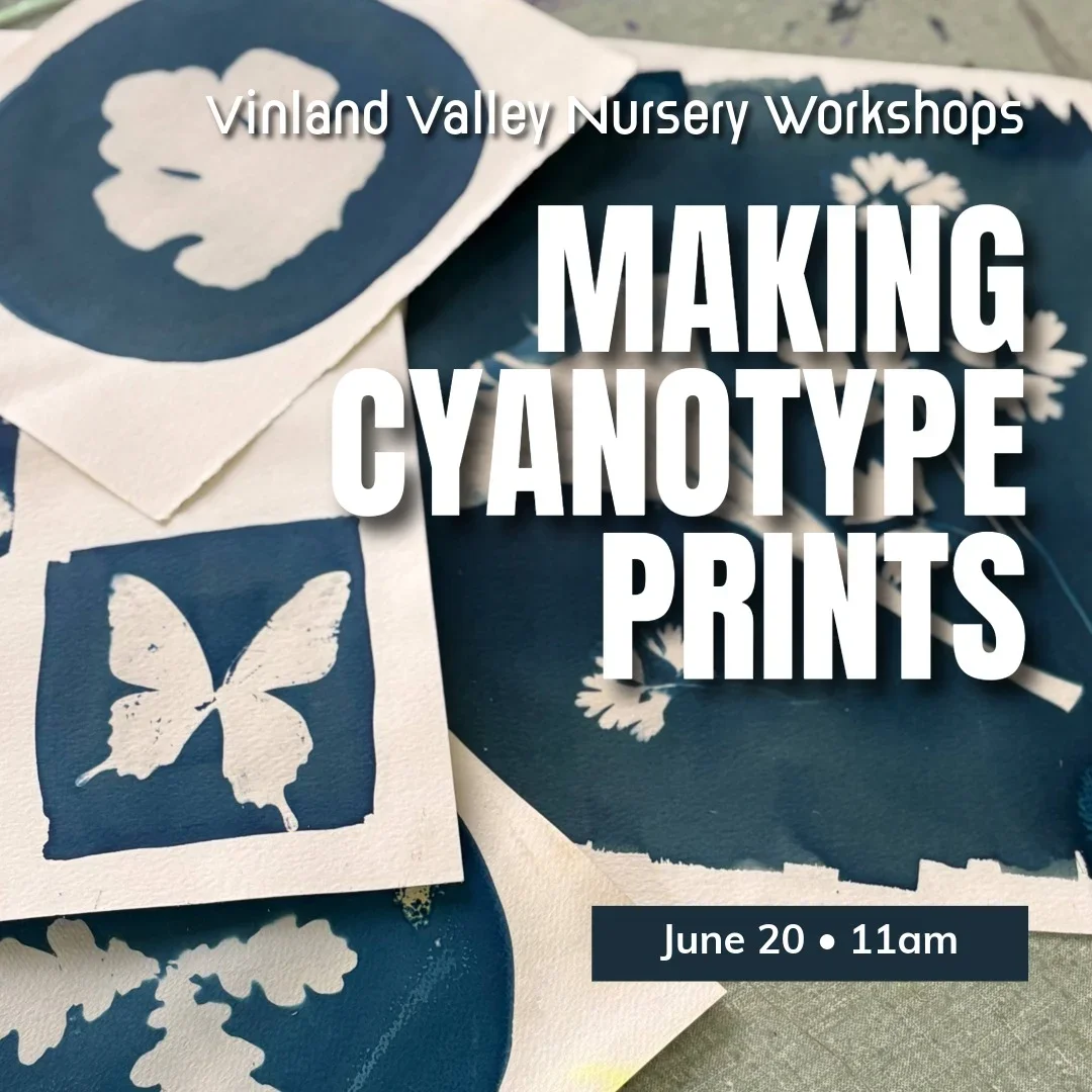 Making Cyanotype Prints Workshop