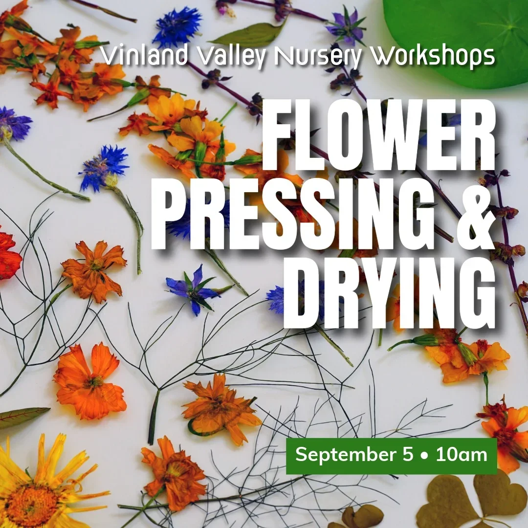 Flower Pressing and Drying Workshop