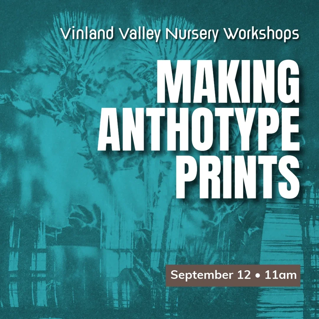 Making Anthotype Prints Workshop