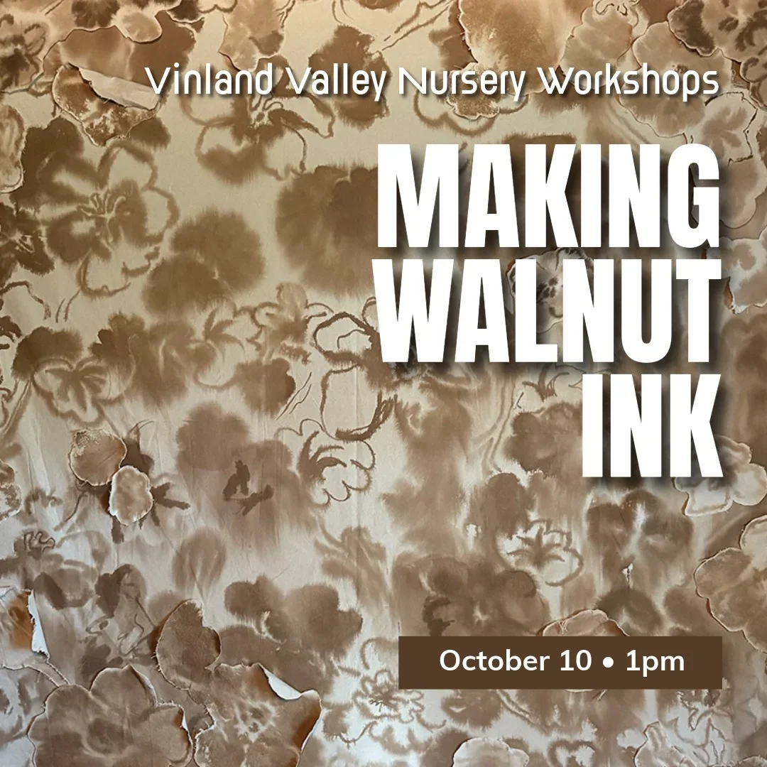 Making Walnut Ink Workshop