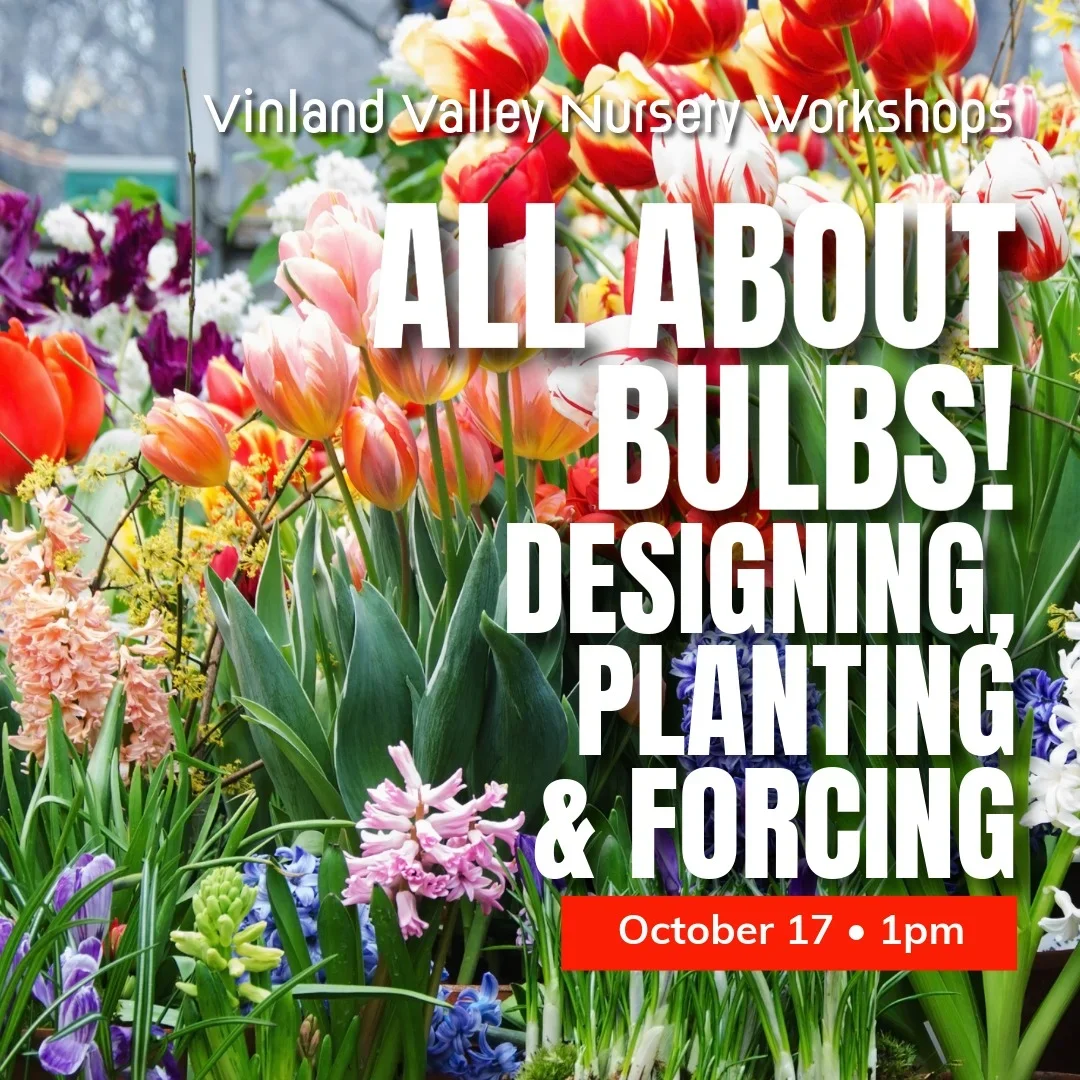 All About Bulbs! Workshop