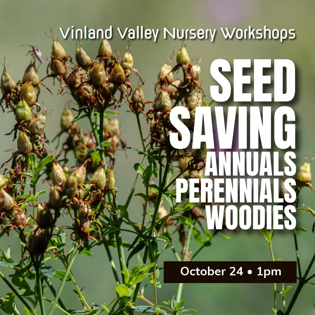 Seed Saving Workshop