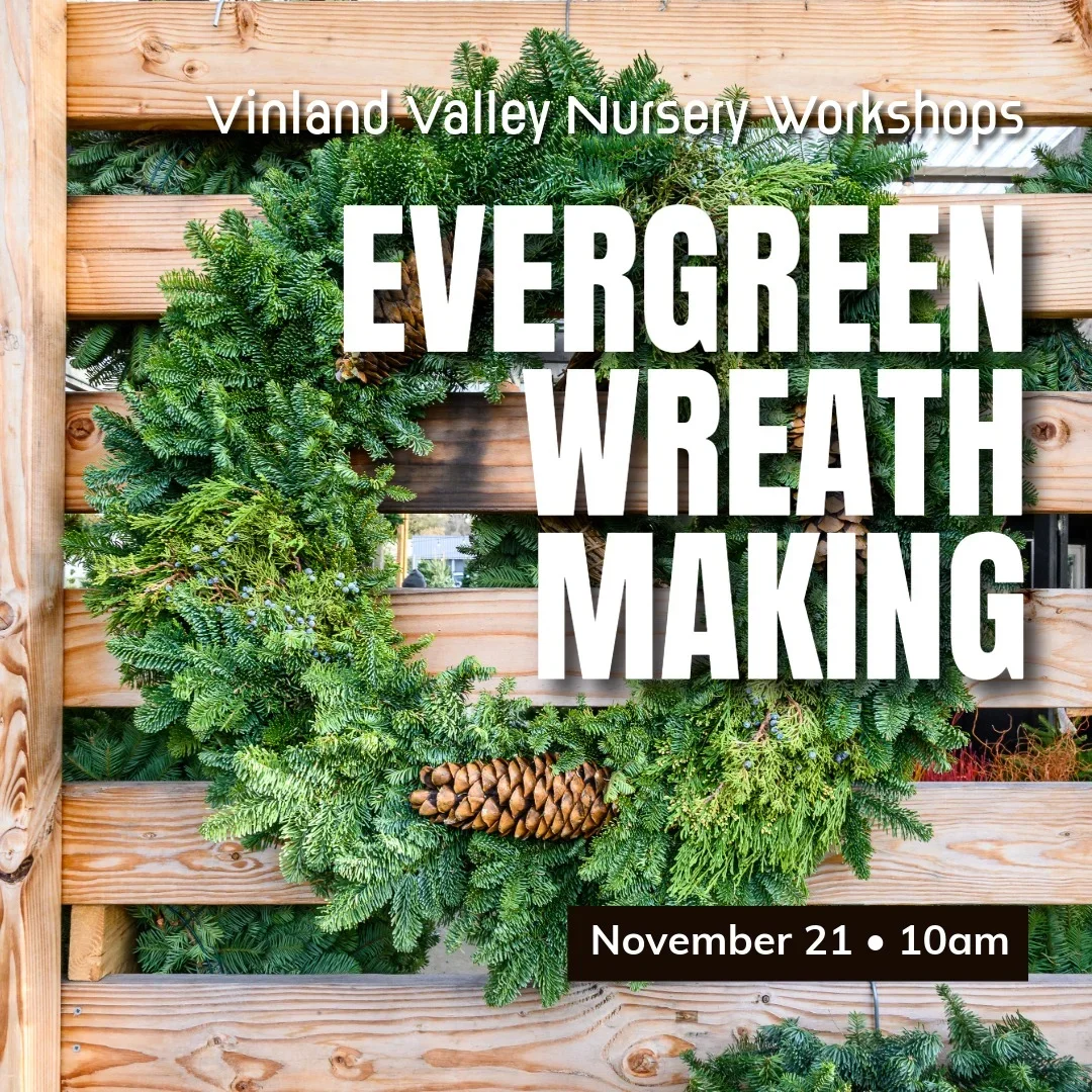 Evergreen Wreath Making Workshop