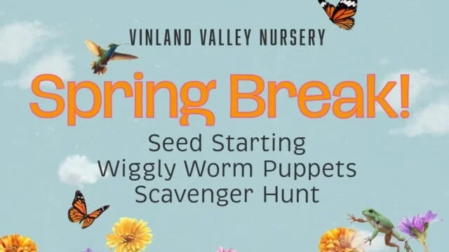 Spring Break Walk-In Activities