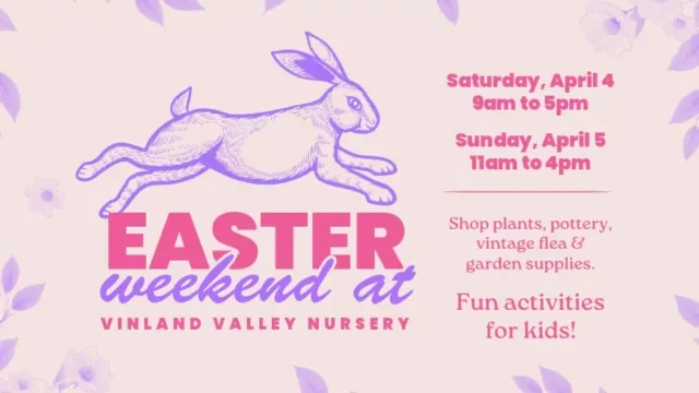 Easter Weekend at VVN