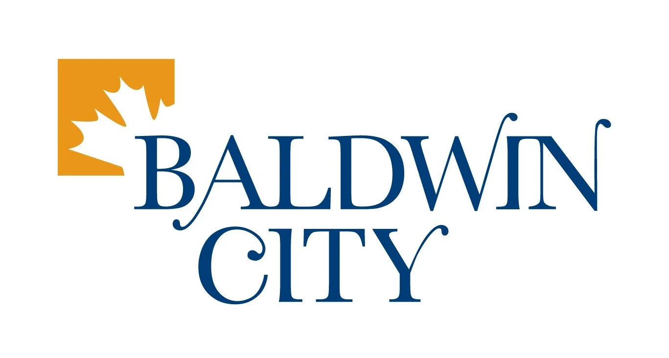 BaldwinCity.jpg