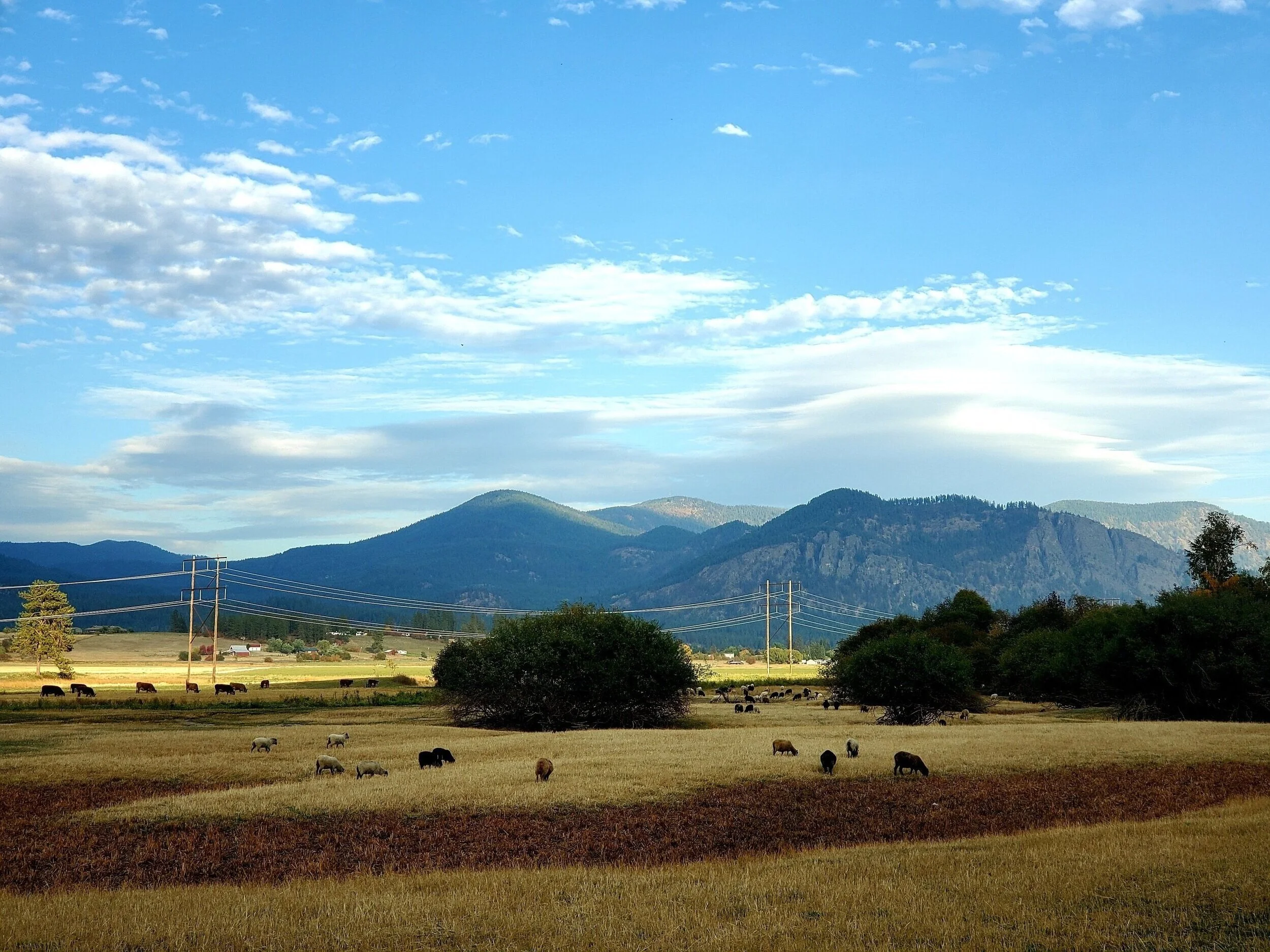 Practices — River's Edge Ranch
