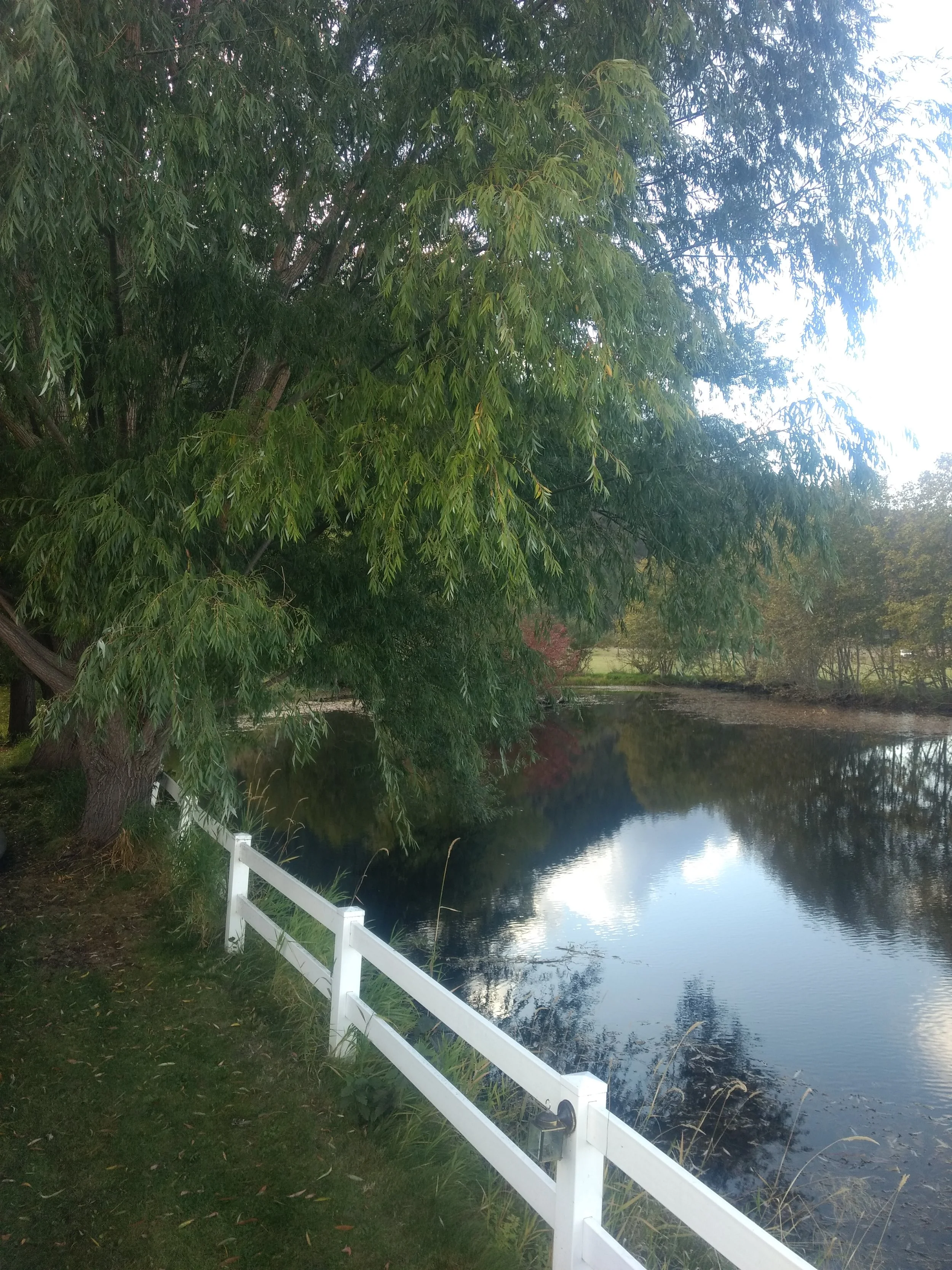 Products — River's Edge Ranch