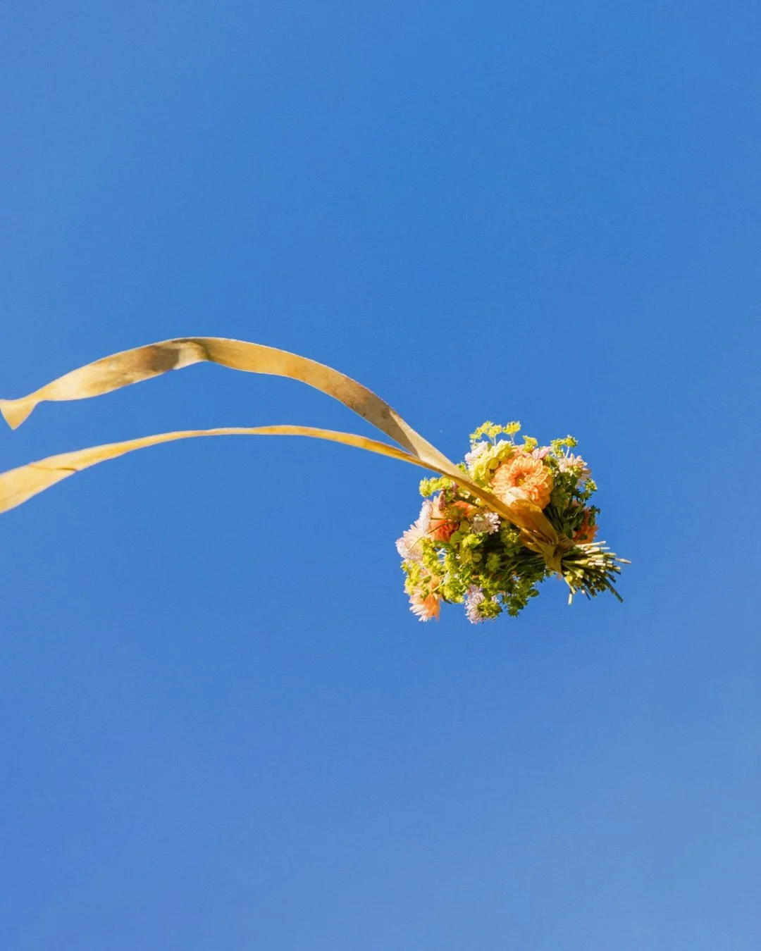 Spring at Foxglove Lodge on Vashon Island, WA is unreal.

Fresh blooms, towering evergreens, and wide open lawns make this venue feel like a hidden Pacific Northwest dream. In the spring, everything comes alive&mdash;the light is soft, the greens are