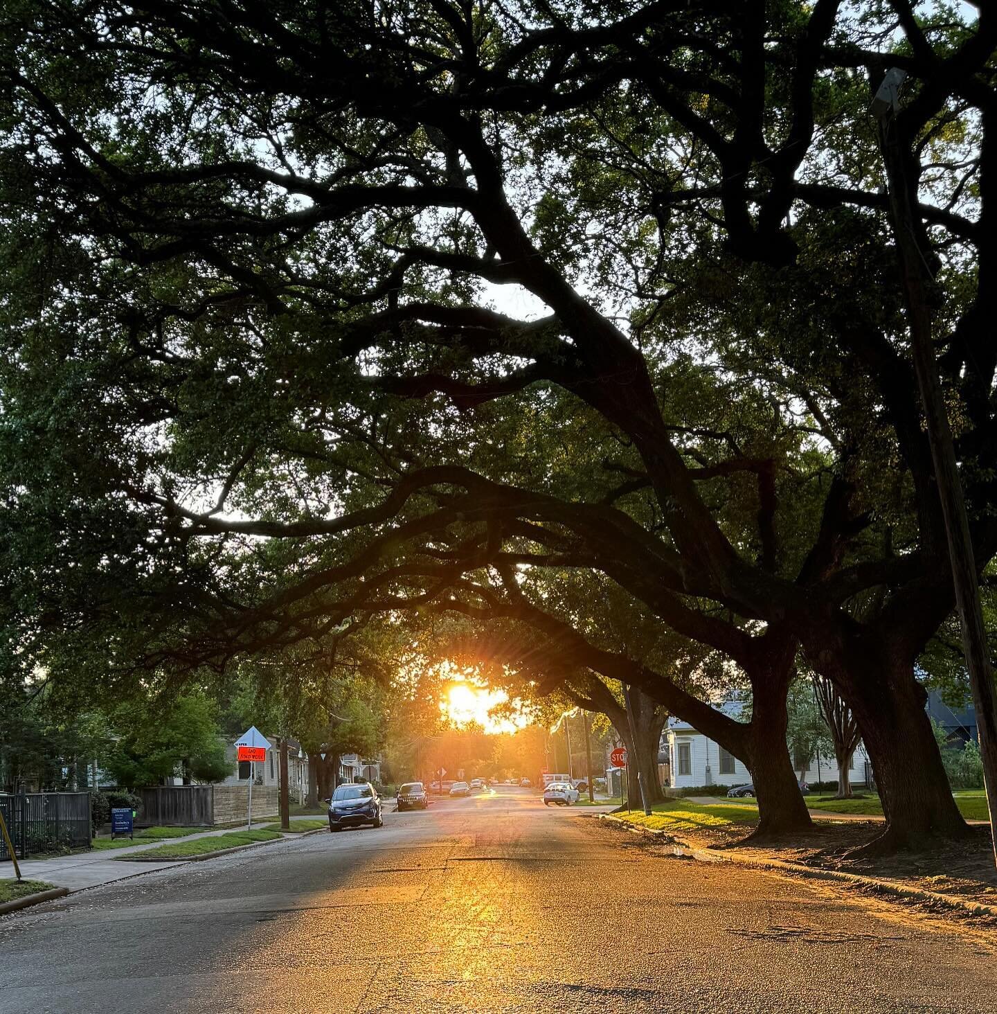 What a gorgeous morning! 
Sunrise walk with a 1:1 client followed by a 9:00am group Wellness Walk. Starting at Buffalo Bayou Park and then wandering through historic Sixth Ward. 
Get out on this beautiful day and #GoWalkYourself @ArtsDistrictHouston