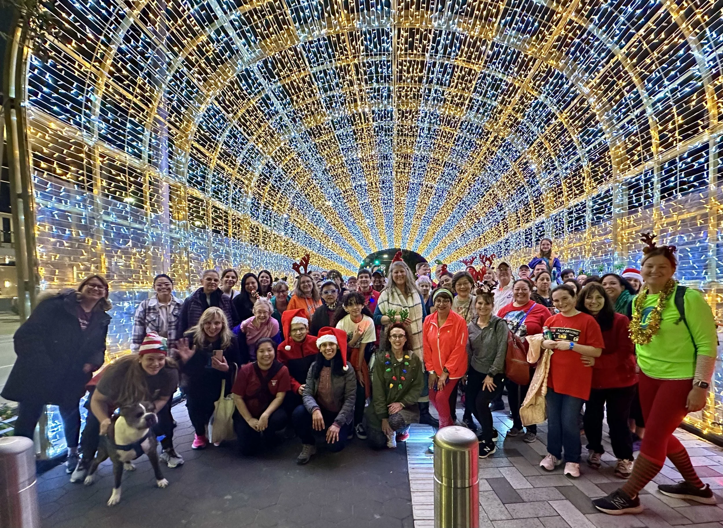 Tinsel Trek at Buffalo Bayou Park