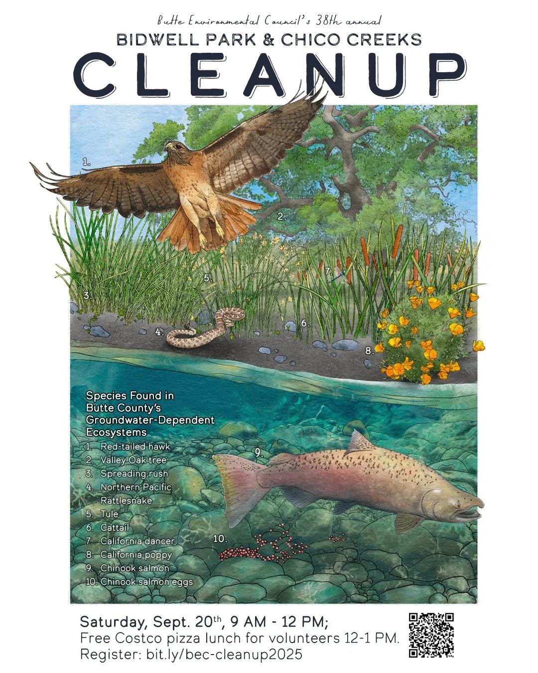 38th Annual Bidwell Park & Chico Creeks Cleanup