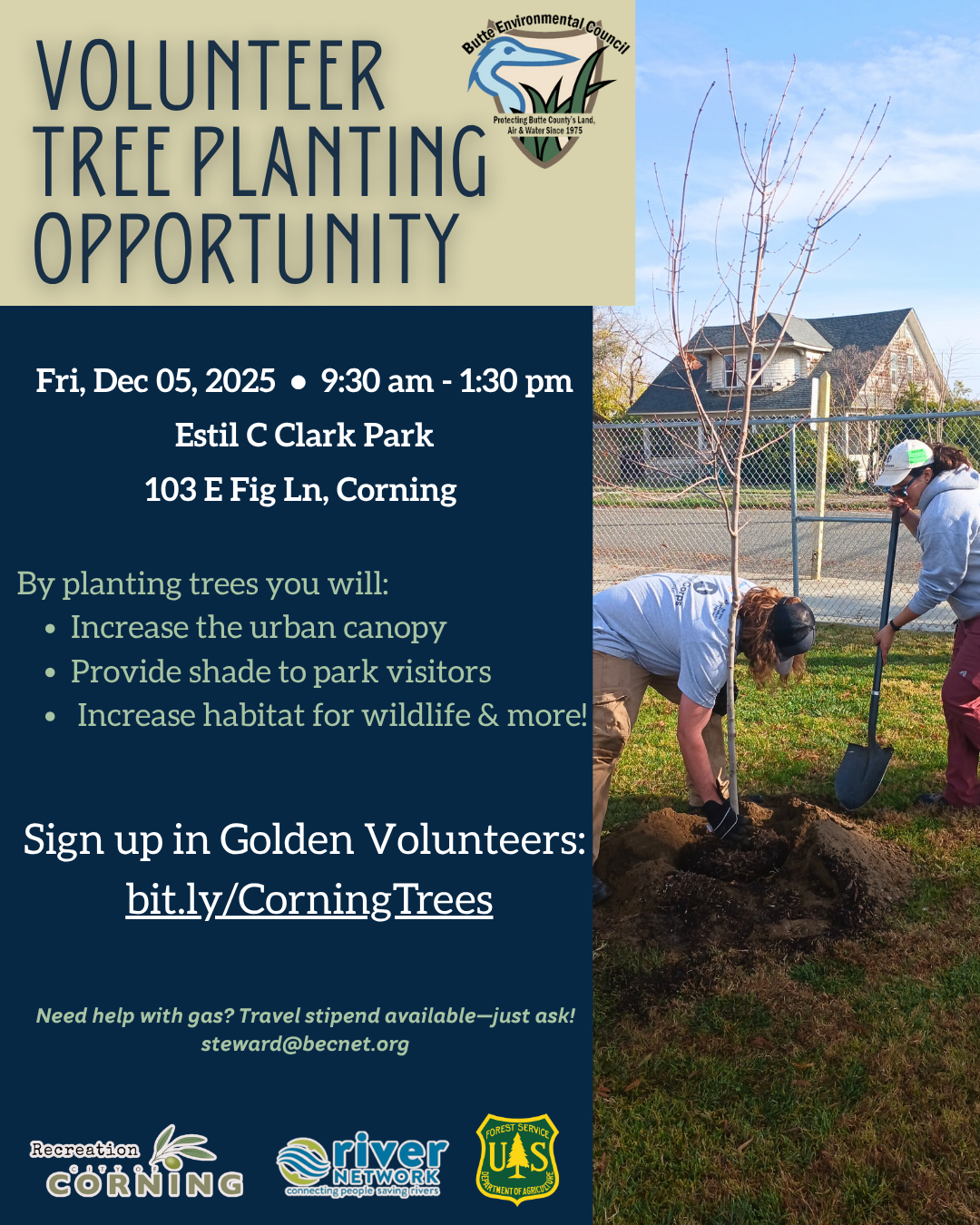 Community Tree Planting in Corning