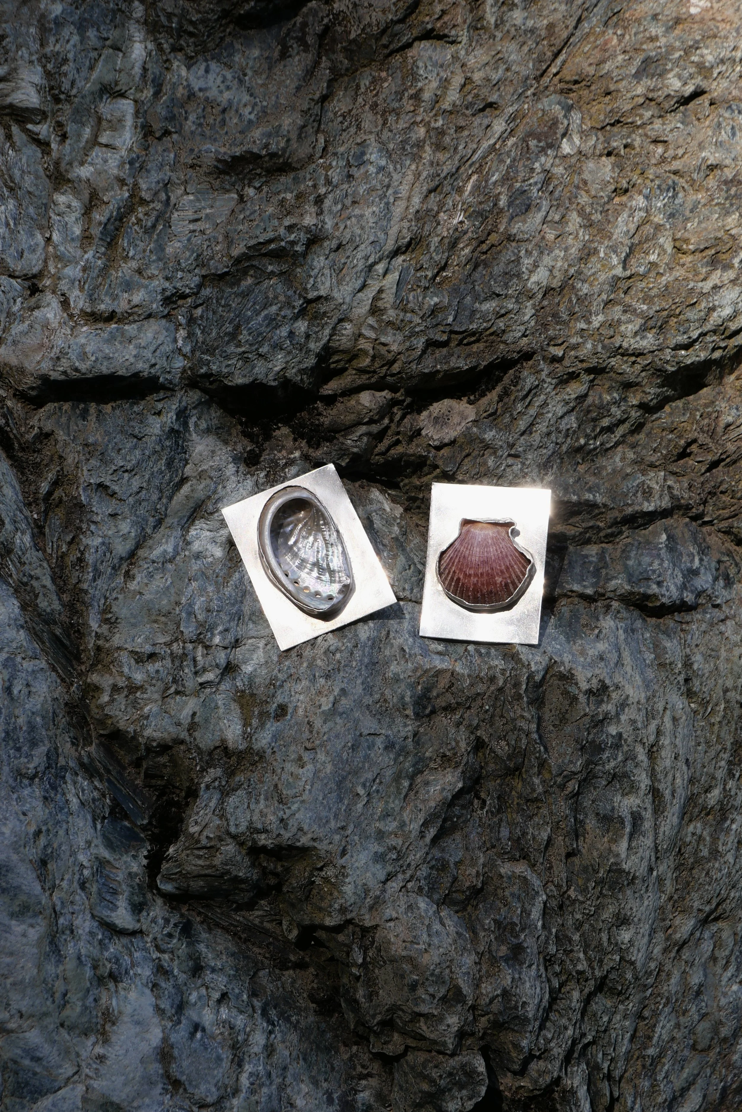 Campaign for Cauri©