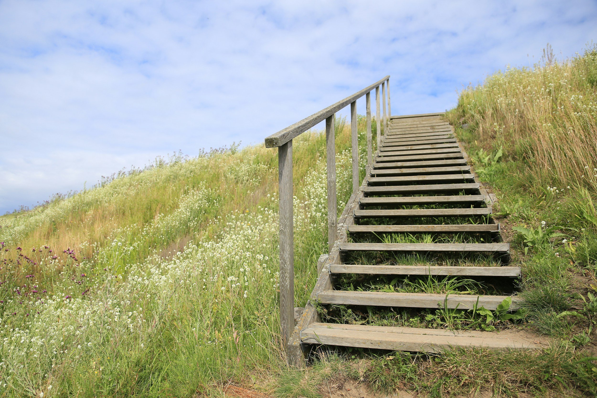 Wooden stairs leading up a grassy hillside with wildflowers and a partly cloudy sky.