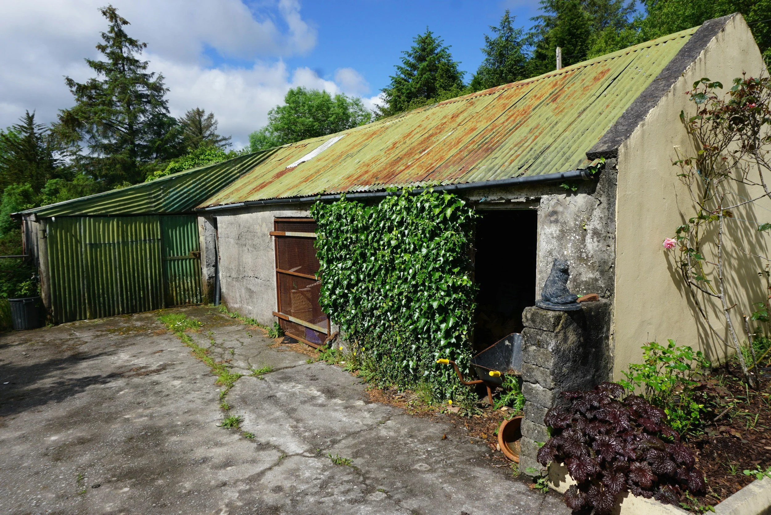 An old shed with a rusted corrugated metal roof next to a yellow wall, surrounded by greenery and plants.