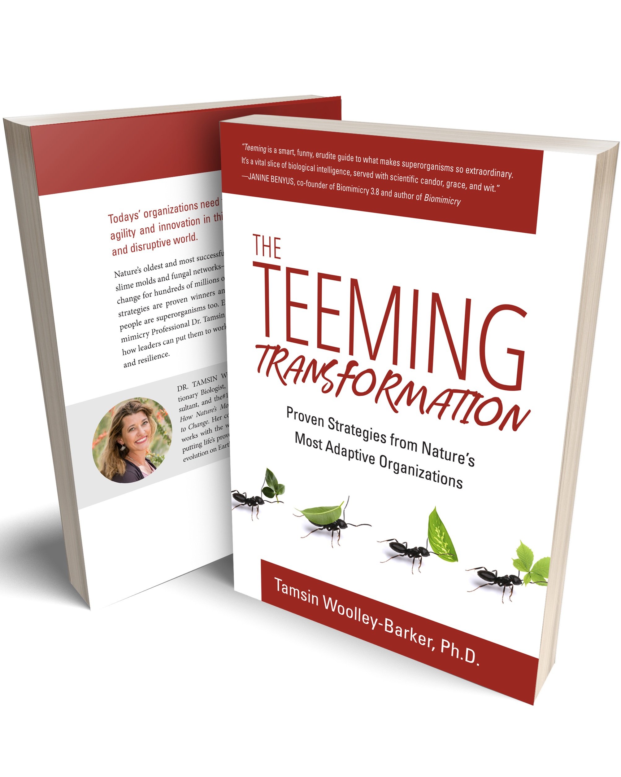 TeemingTransformation-Cover-3D.jpg