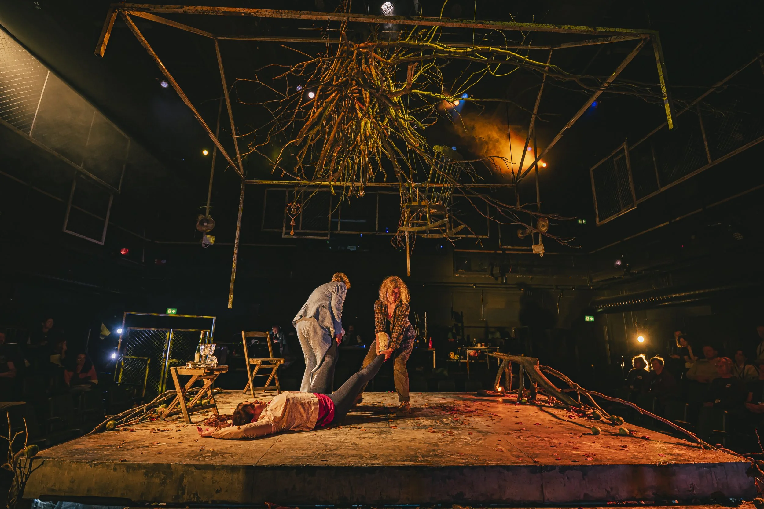 270snakeinthegrass13092025kirstenmcternan.jpg