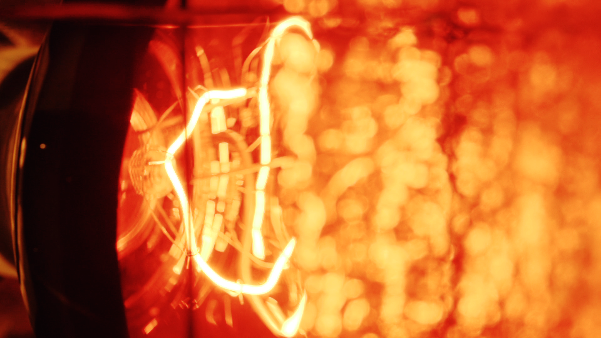Phase2_Bulb.png