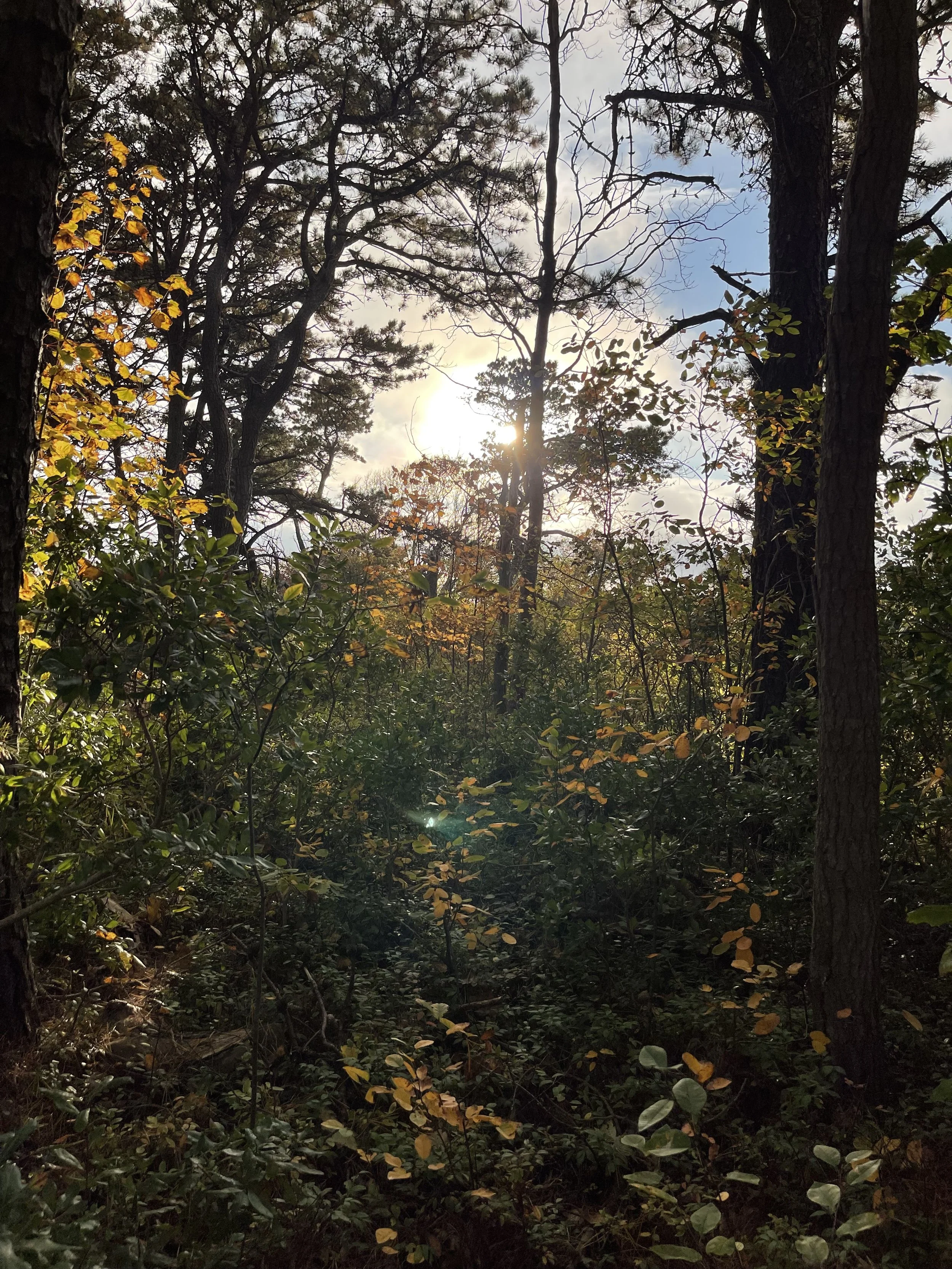 Goodness Weekly 10.27.25