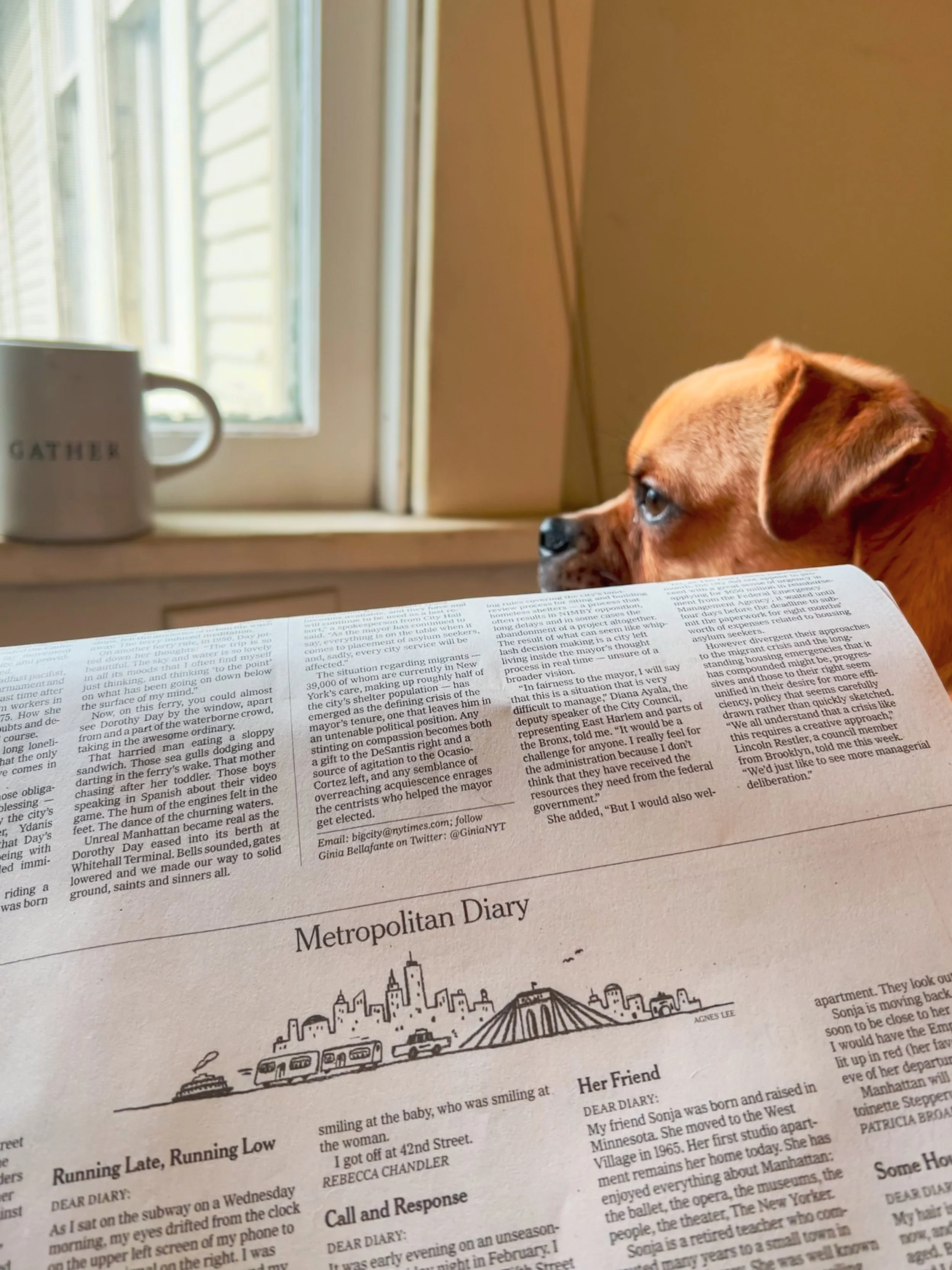 Goodness Weekly 11.24.25