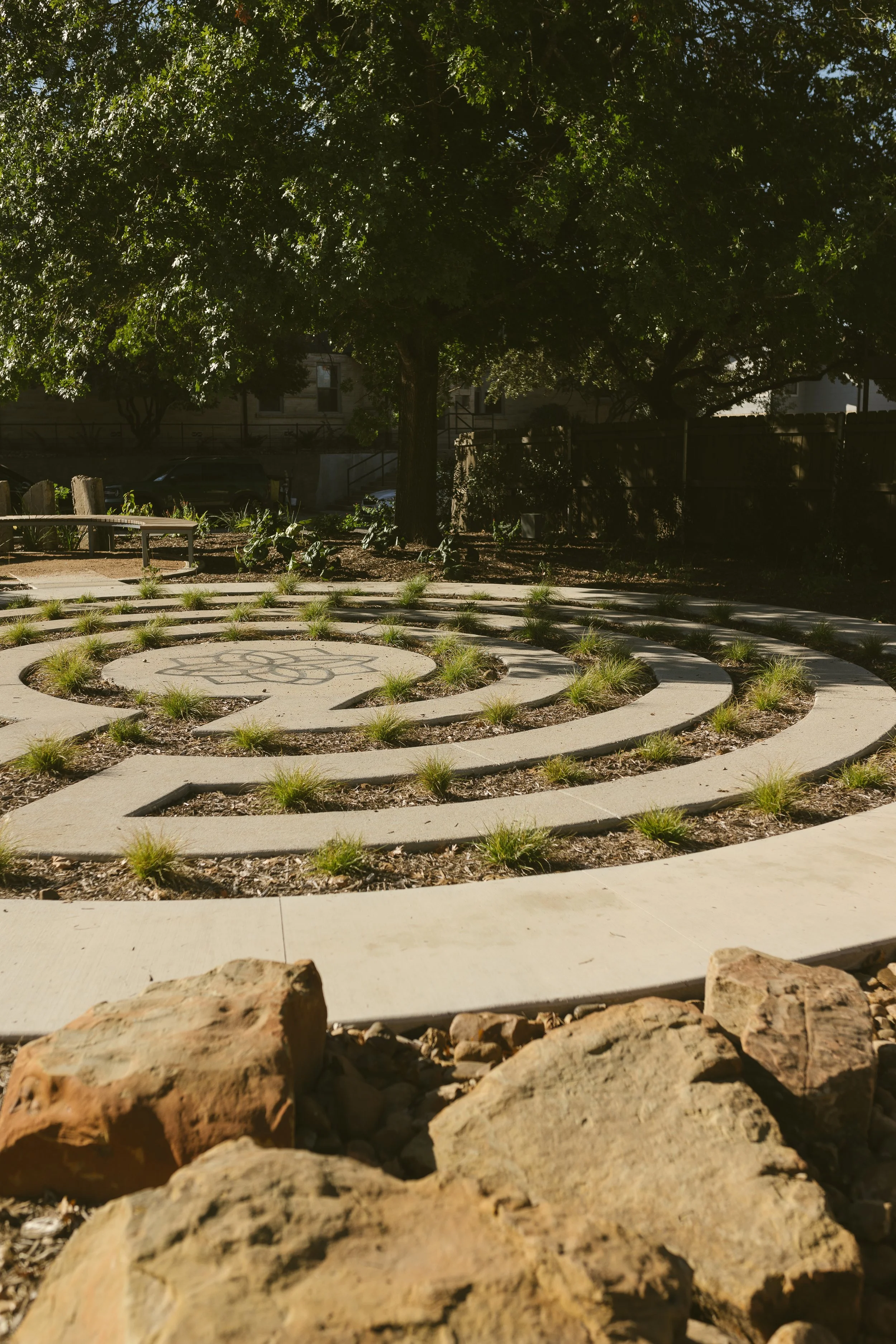 Goodness Weekly 1.12.26