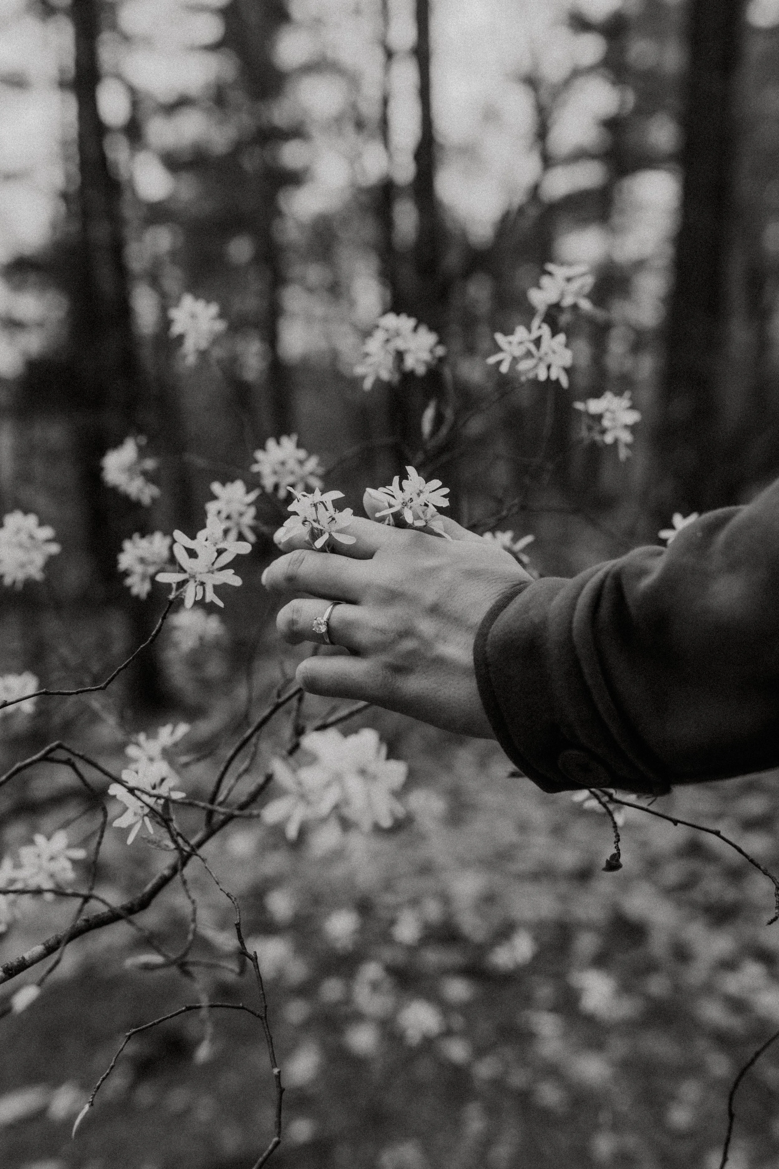 Engagement-142.jpg