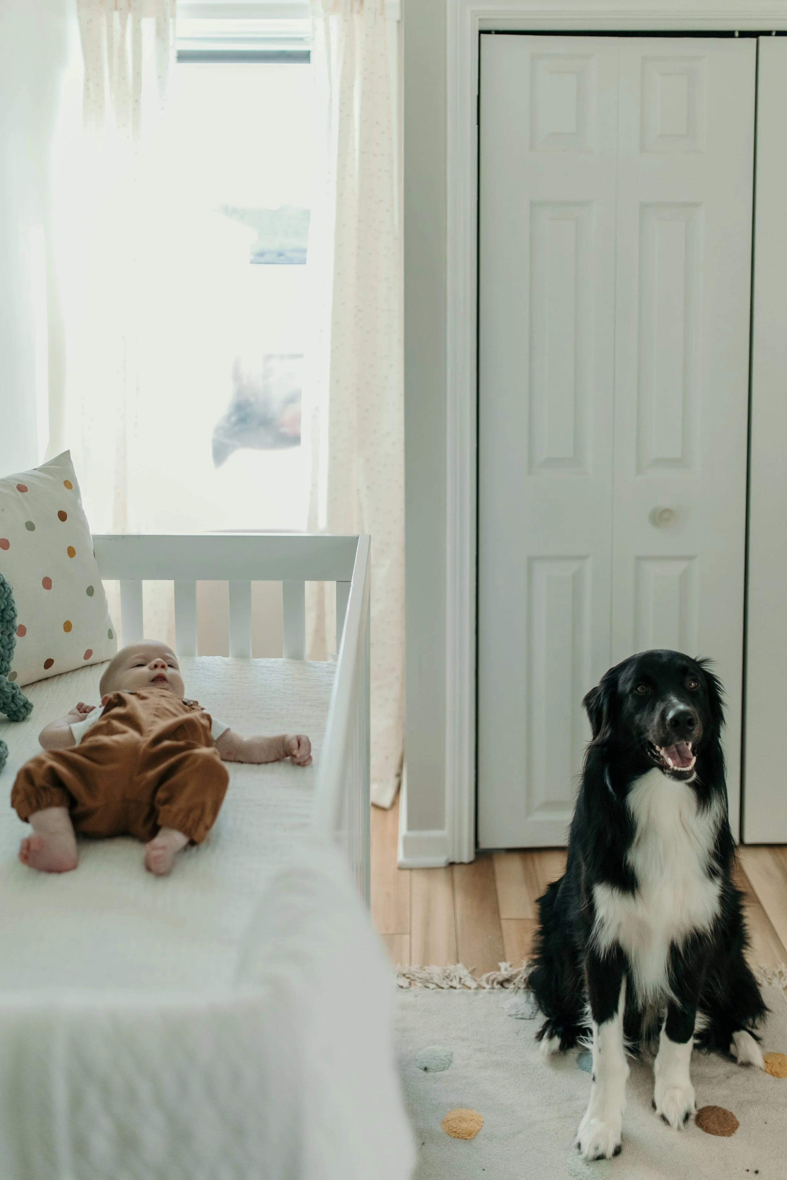Newborn-62.jpg
