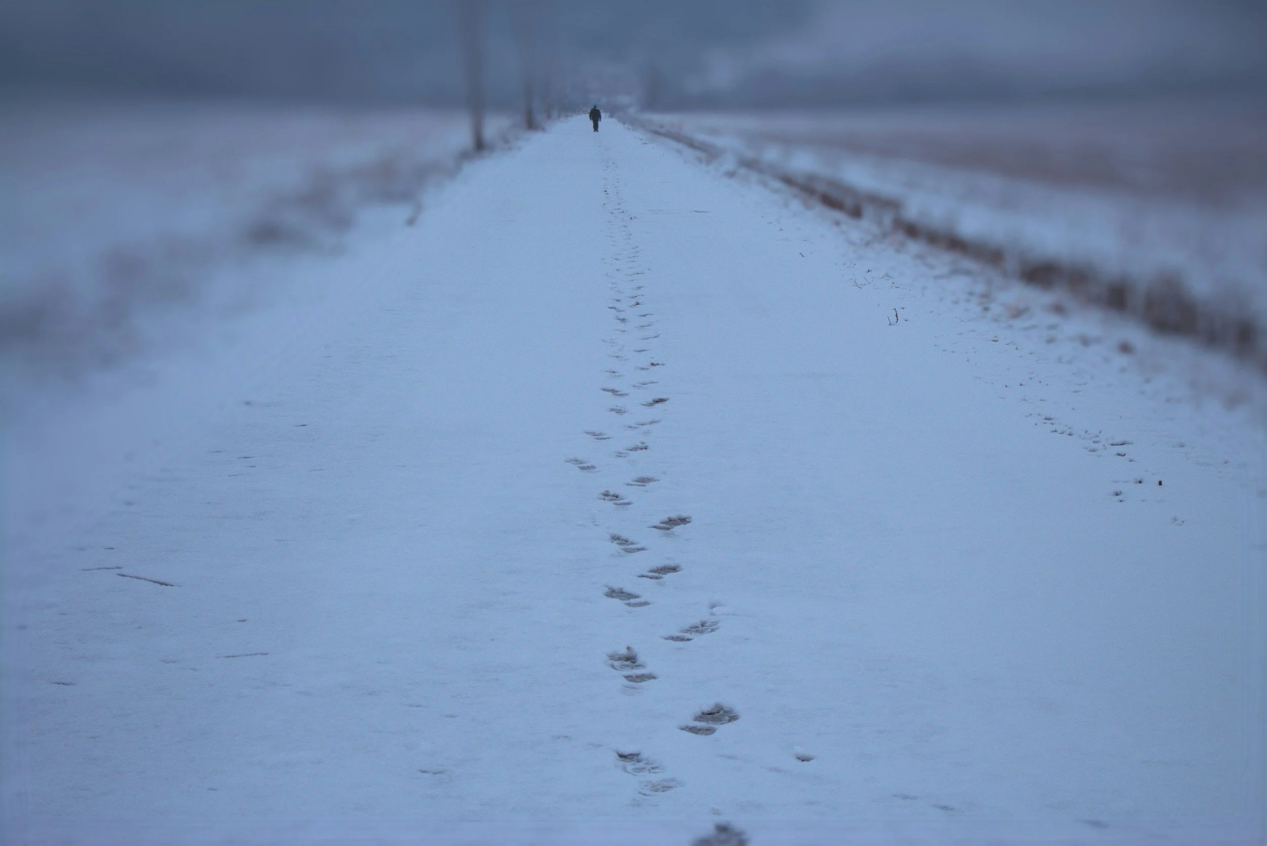 A Steadier Way Forward