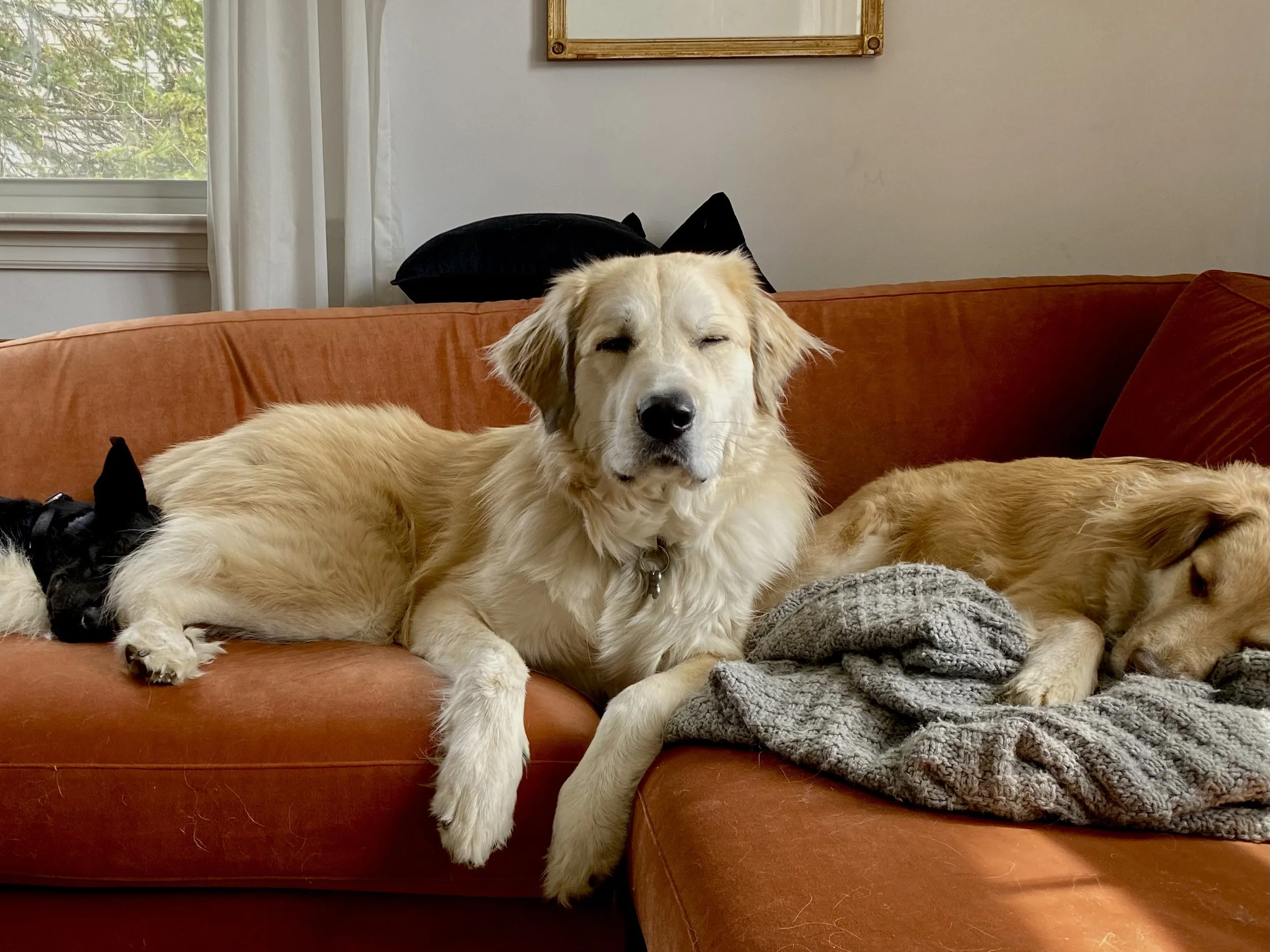 9E8B5135-2A11-4A9E-AB0E-95FE24D6F46A - Kayla Servin.jpeg