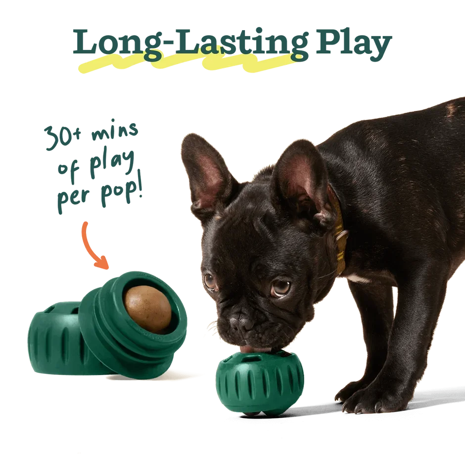 Woof_Pops-Refill_Gallery_1200x1200_4.webp