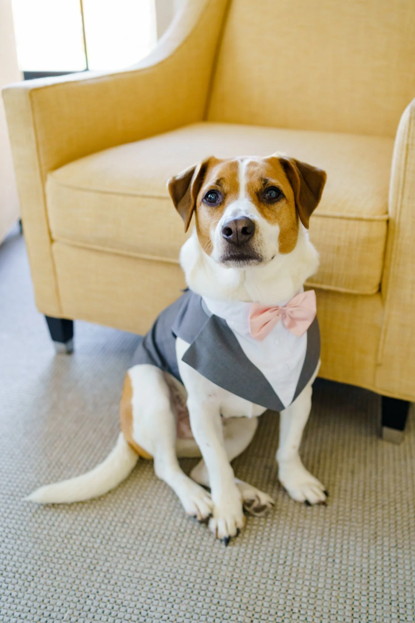 E3A1713C-FCCF-4266-8690-54674E15E043 - Steve Olson.jpeg