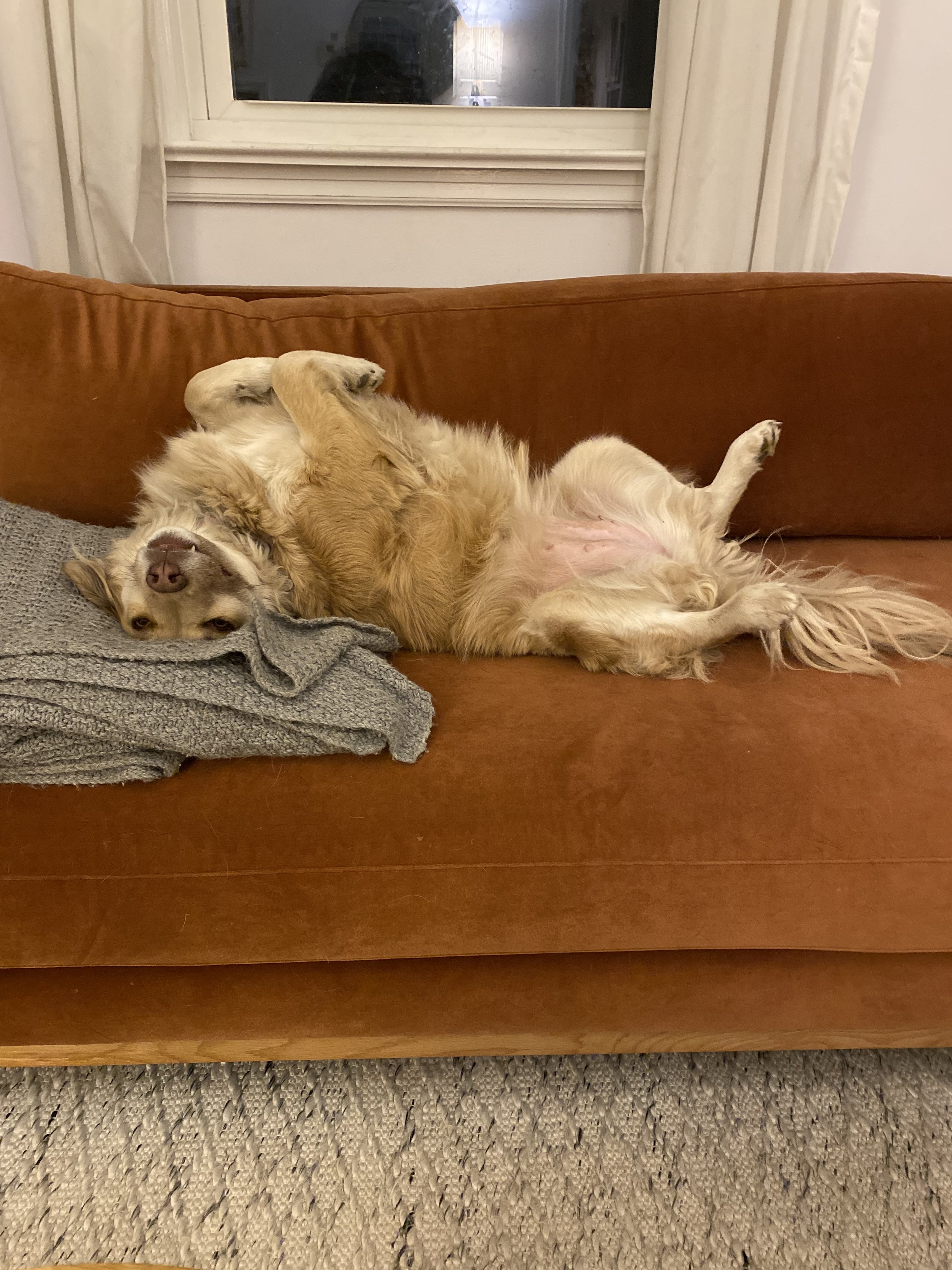 A33FEADA-6903-46AB-8288-E4A541BC49CF - Kayla Servin.jpeg