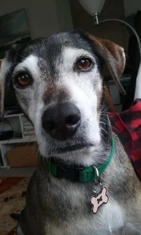 0-2 copy - Ann Scott.jpeg