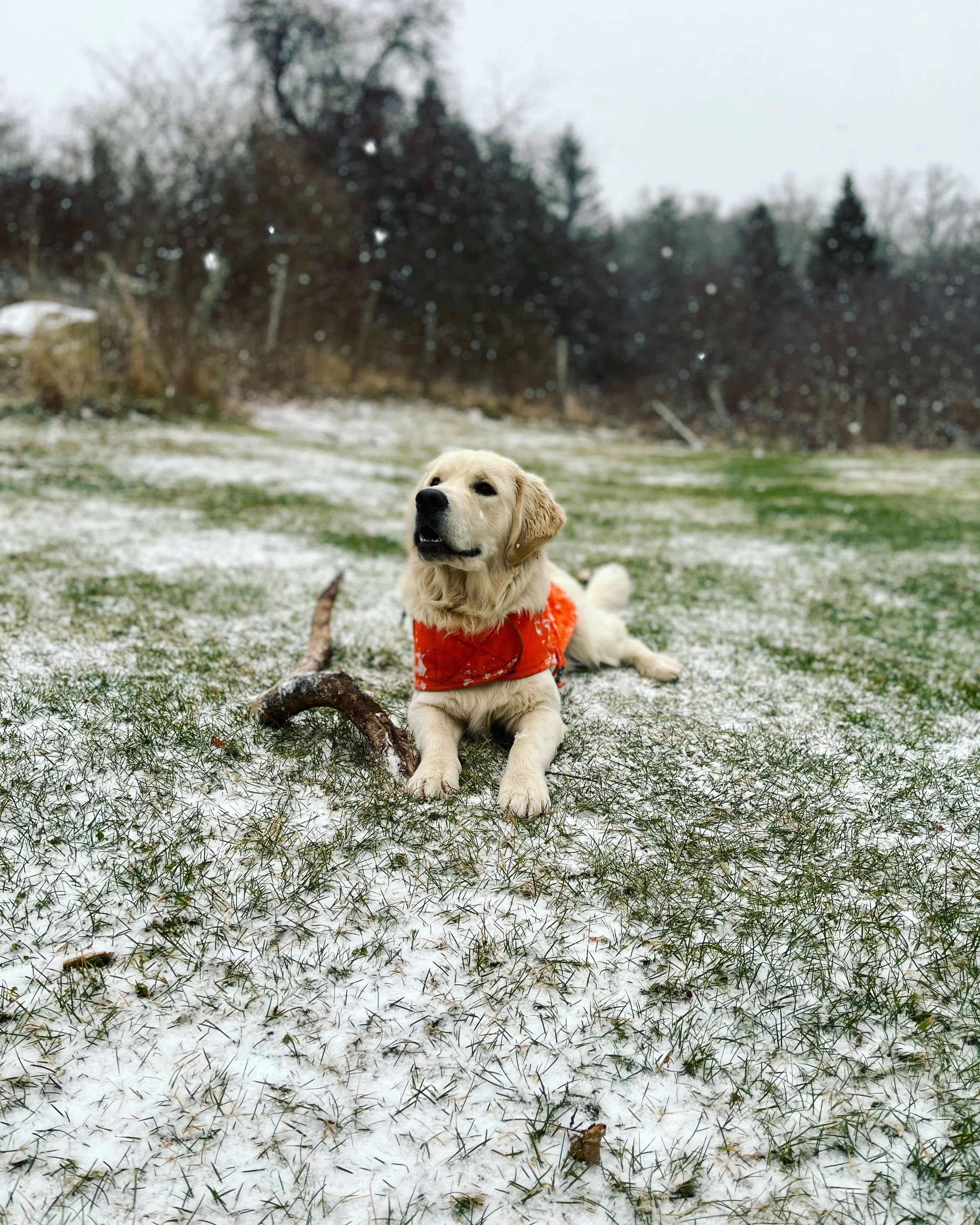 E6CE65F6-5162-45A2-97FC-2261373F2C84 - S. Taylor.JPG