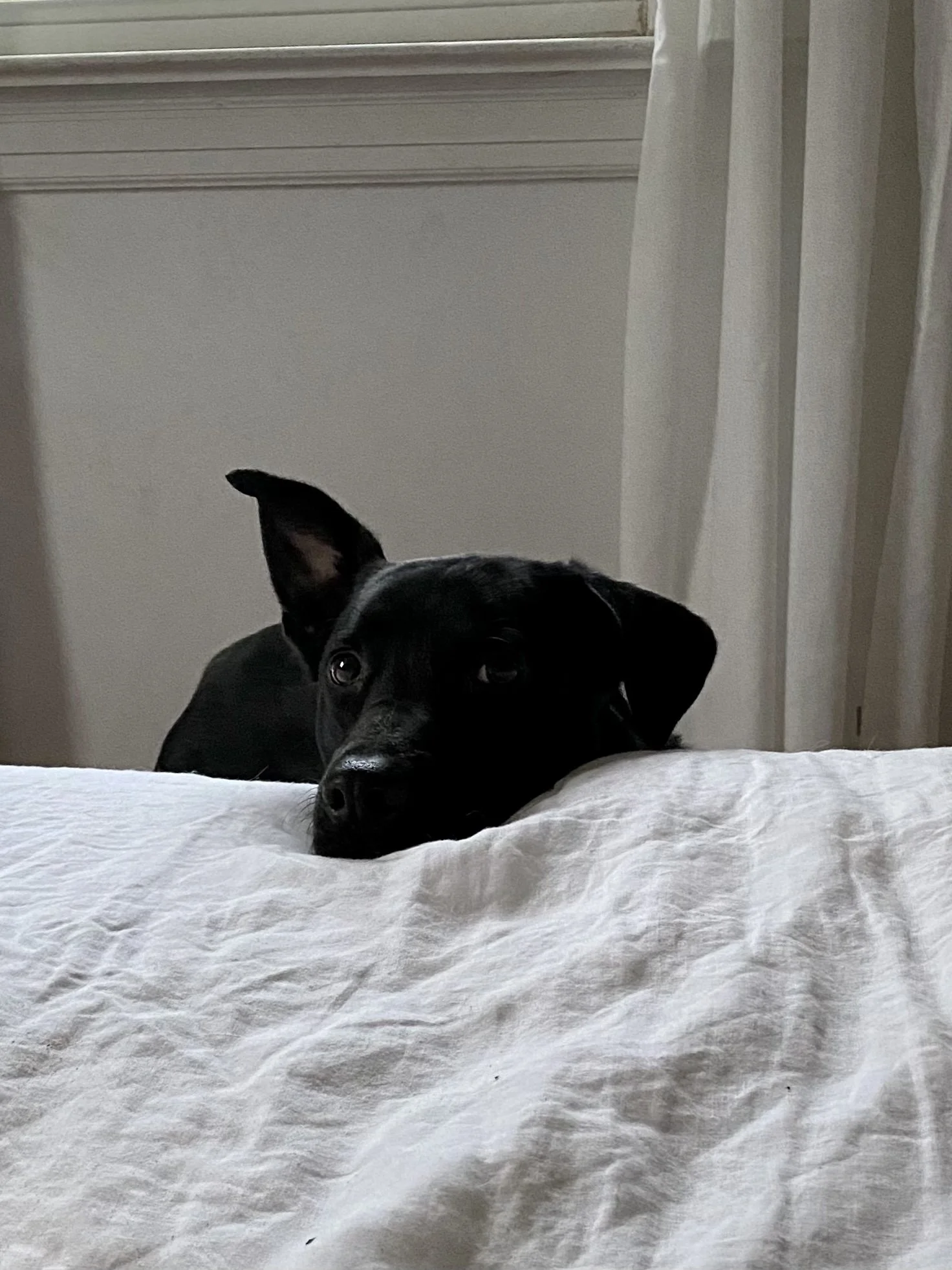 69BC0DAE-5107-4931-93A8-13DC5A8EFA7D - Kayla Servin.jpeg