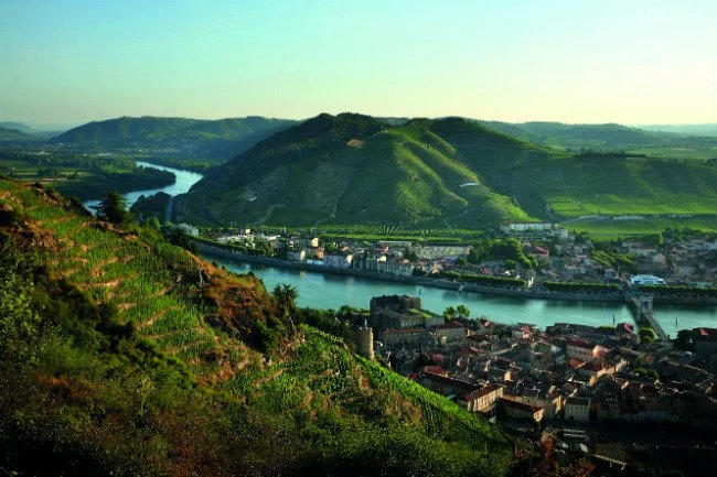 The Rhône Valley with Matthew Conway Thursday, March 19