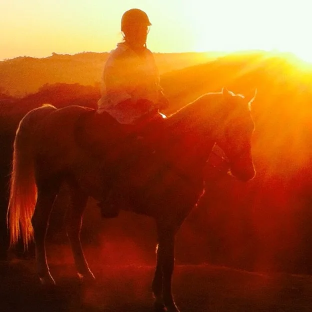 I barely know who I am without you 💔 One month after you took your last breath &amp; your light left your eyes, your bones came home to me. Which is strangely comforting because I always dreamed we could live together 🦸🏻&zwj;♀️&hearts;️🐴 We peeke