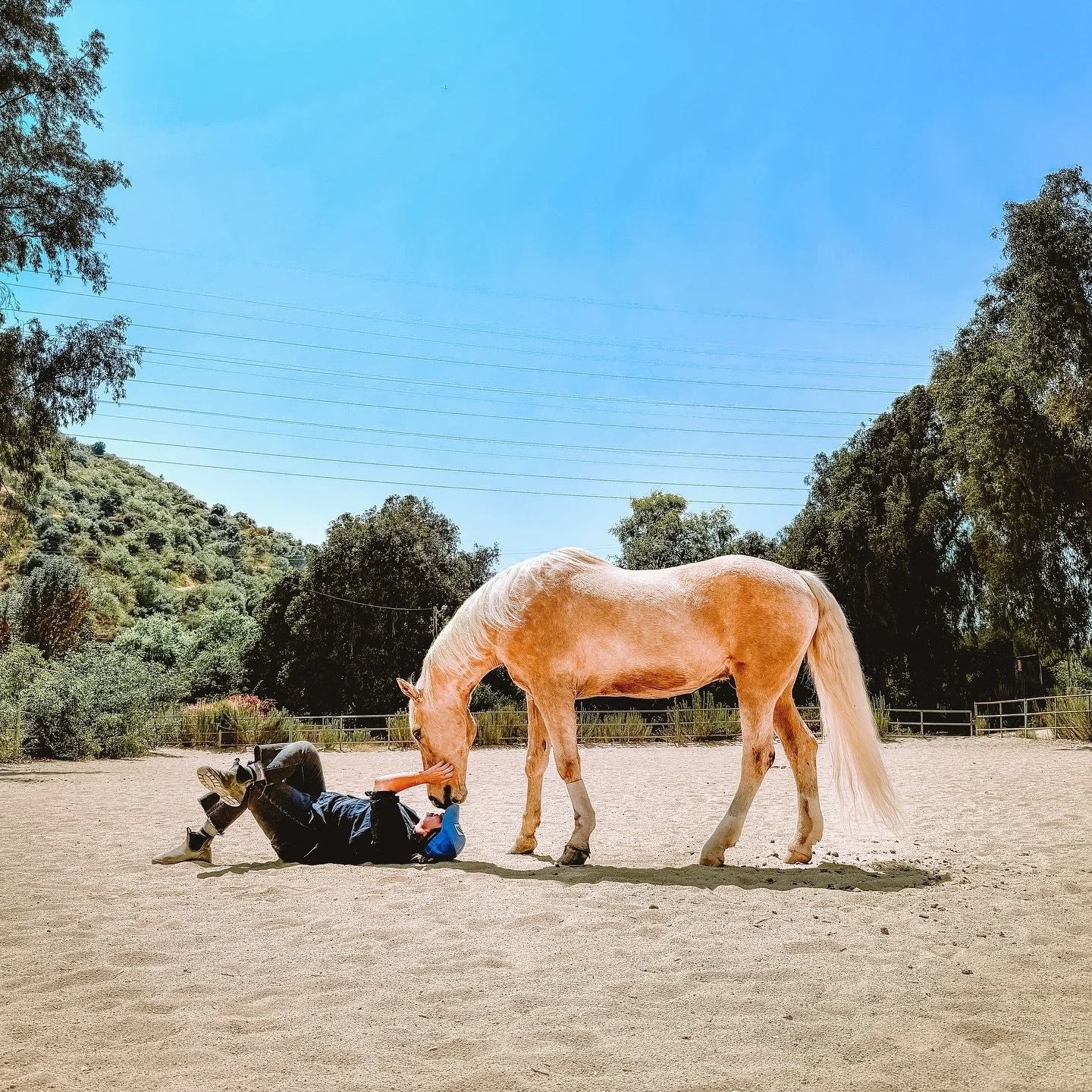 We had 4,550 magical days together &hearts;️ And for every single one it was never lost of me what a gift he was &amp; what an honor it was to love him. I was so lucky to get to bask within his sparkly light ✨ What an epic adventure we had together! 