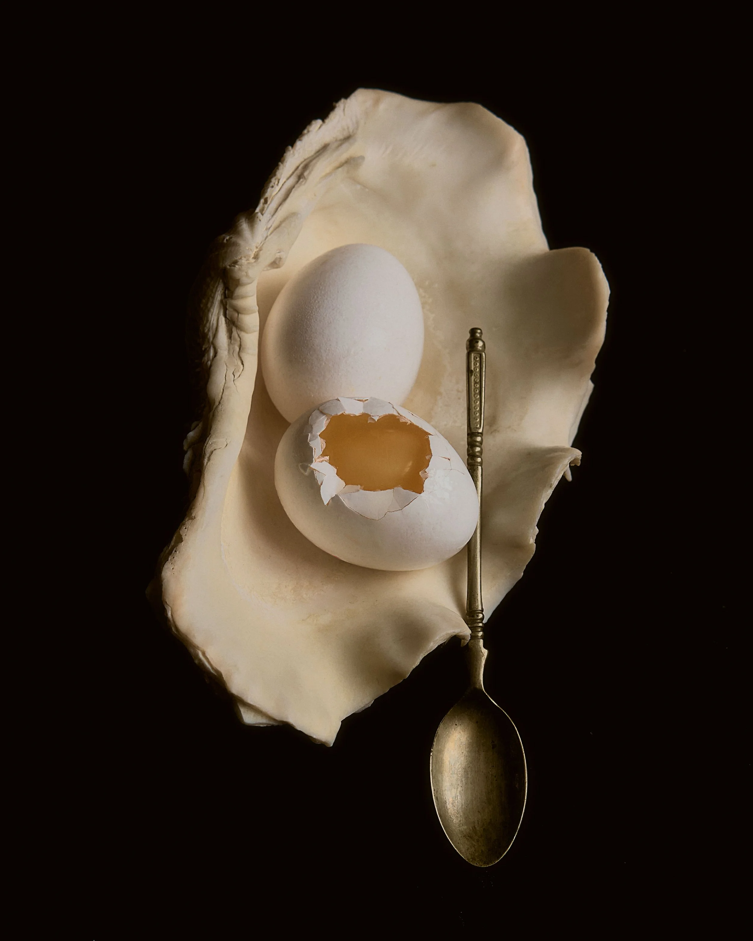 eggshell02.jpg