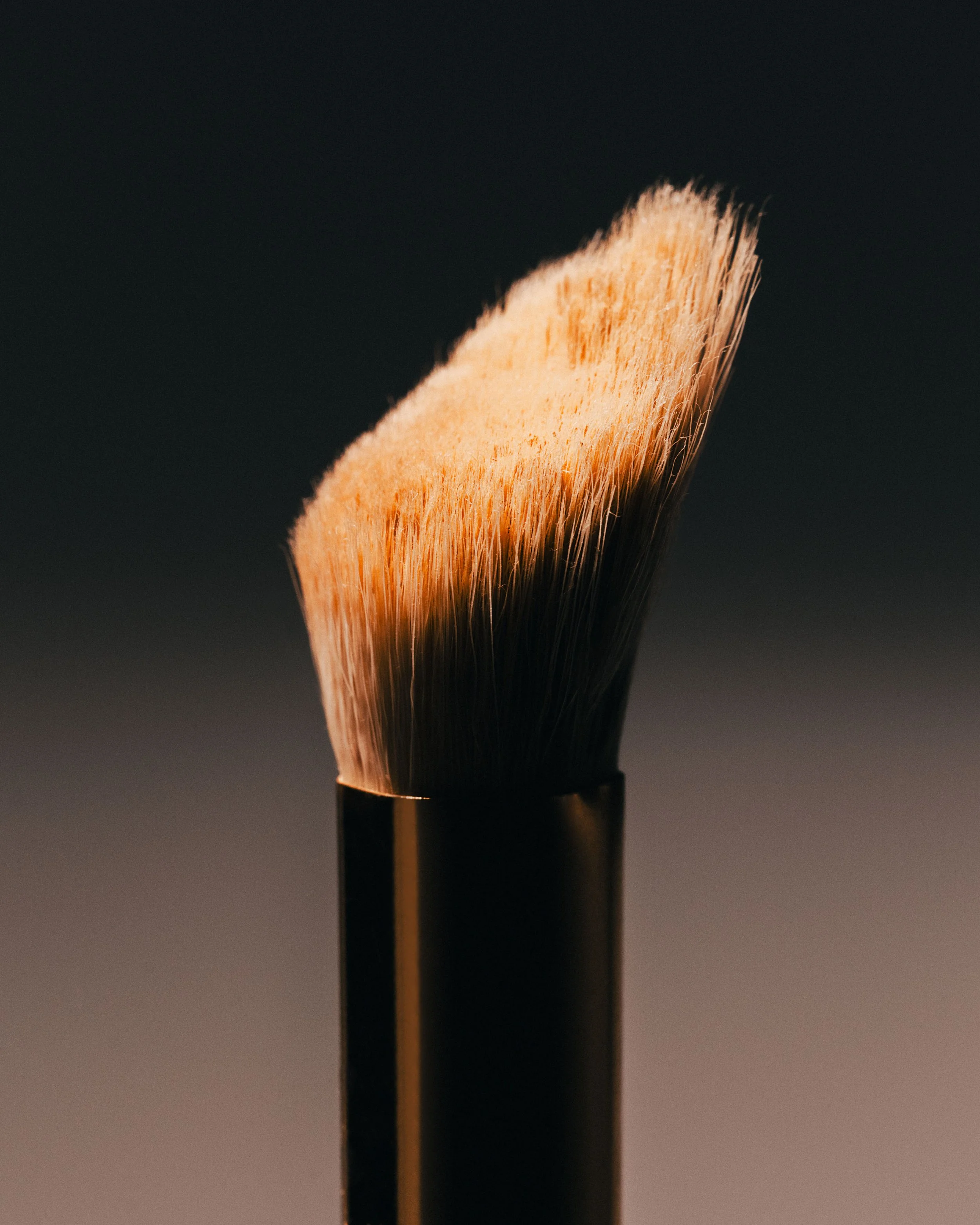 brush-01.jpg