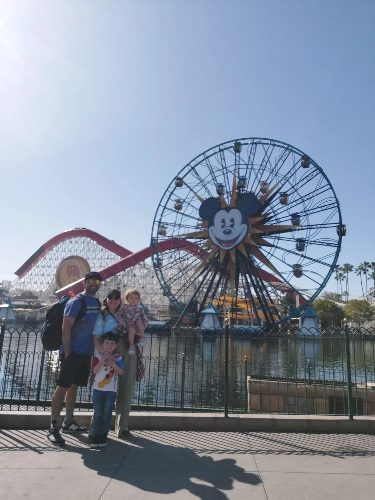 The Only Theme Park Bag You Actually Need: What We’ve Learned Talking to Families at the Parks
