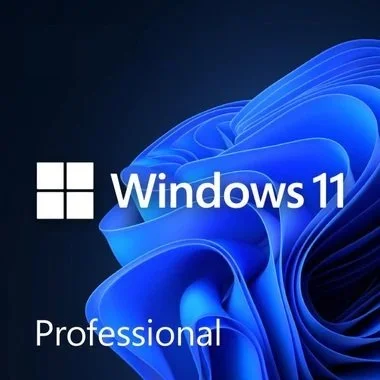 win11pro.jpg