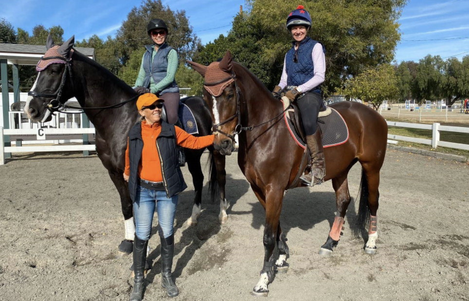 Motivating your equine partner (and yourself) with positive reinforcement</a>
