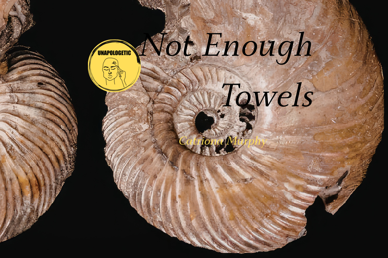 Not Enough Towels